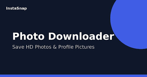 Instagram video downloader interface
